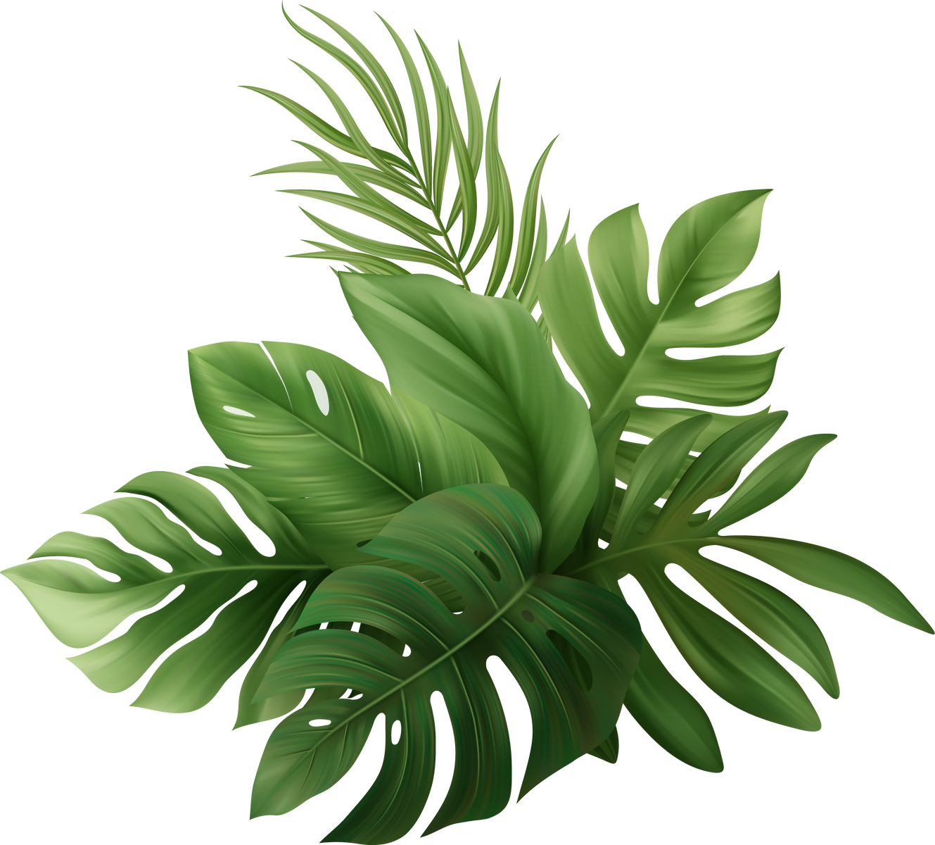 Palm Leaves Tropic